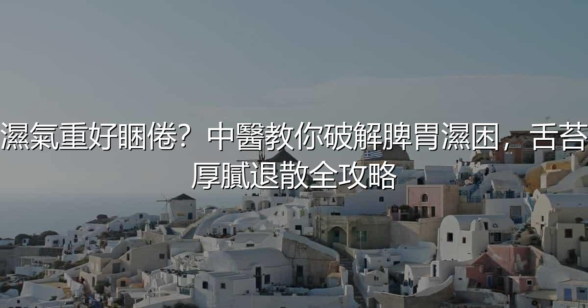 濕氣重好睏倦?中醫教你破解脾胃濕困,舌苔厚膩退散全攻略 - 生活百科文章特色圖片