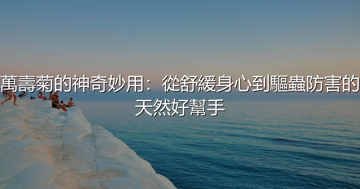 萬壽菊的神奇妙用:從舒緩身心到驅蟲防害的天然好幫手 - 生活百科文章特色圖片